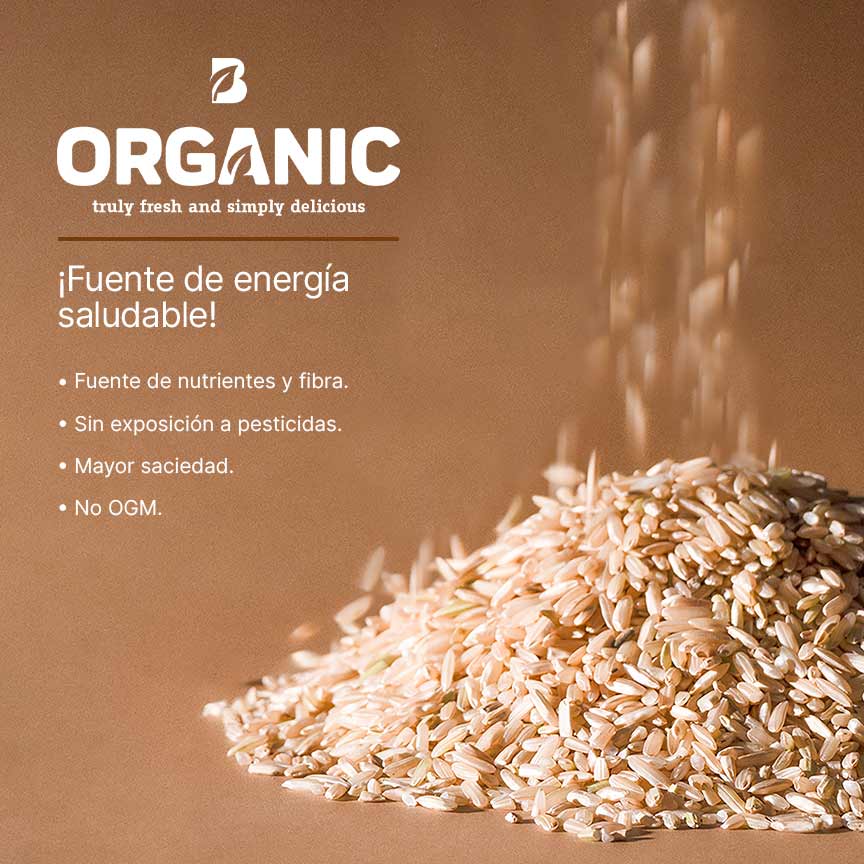 Arroz Integral Orgánico