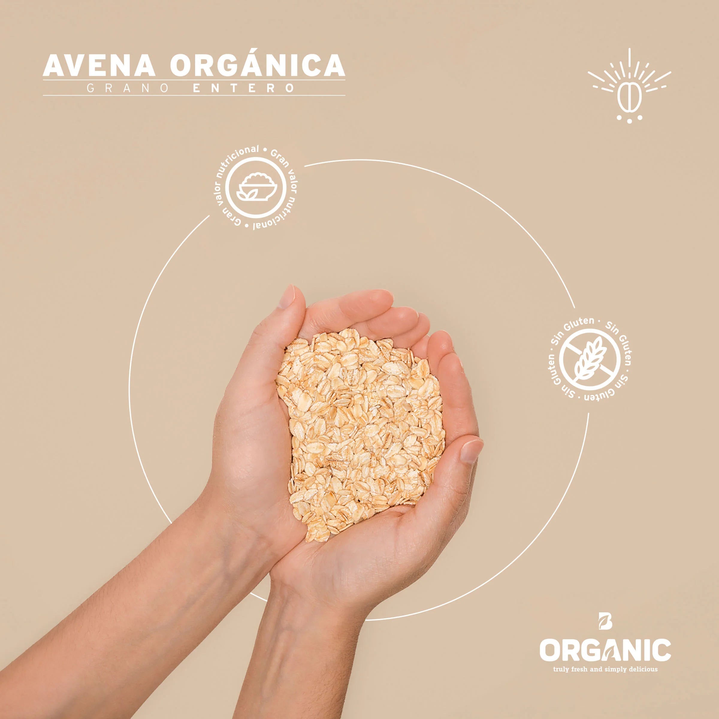 Avena Orgánica Sin Gluten
