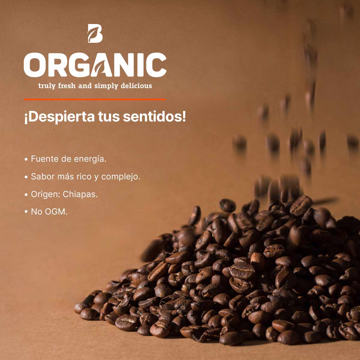 Café en Grano Orgánico