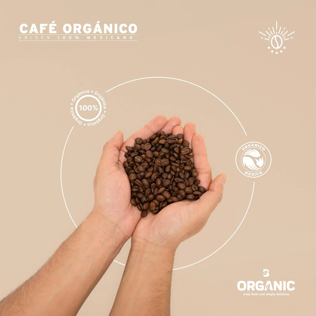 Café en Grano Orgánico
