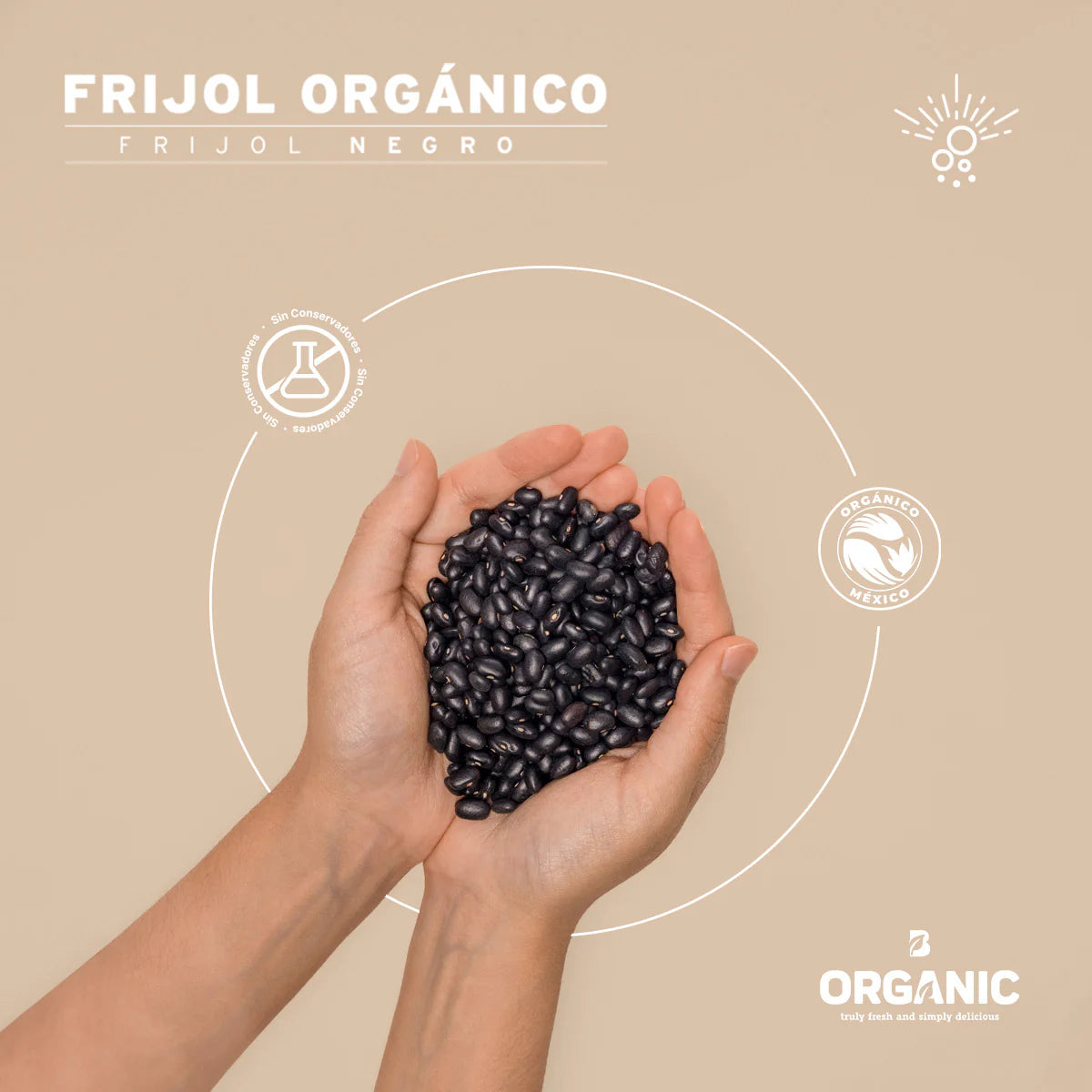 Frijol Negro Orgánico